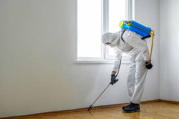 Pest Prevention Services in Sam Rayburn, TX