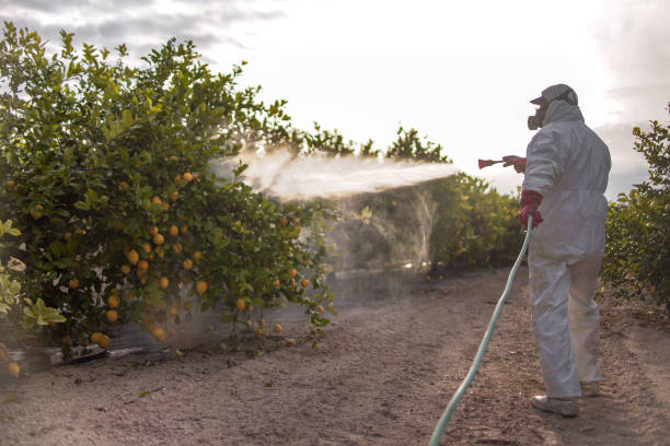 Best Pest Control Near Me in Sam Rayburn, TX